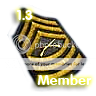Master Sergeant - 1.3 Master Sergeant - 1.3