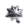 Lieutenant Colonel Lieutenant Colonel