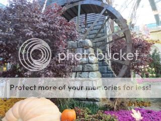Click or hover your mouse to enlarge image